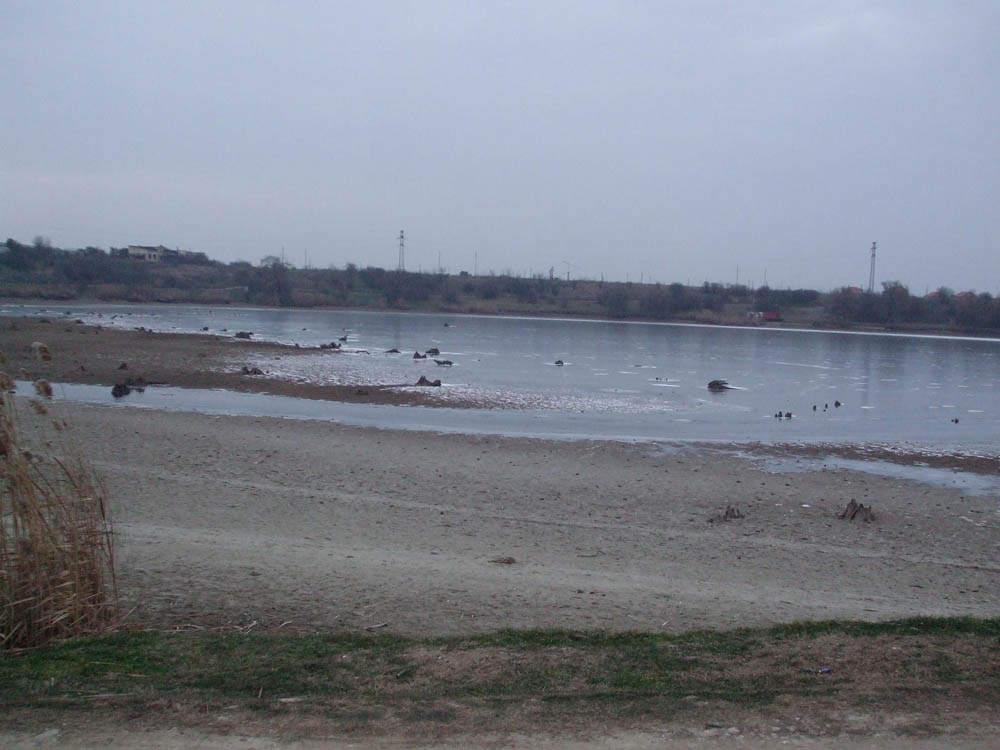 TANCABESTI SECAT - DSCF3479.jpg